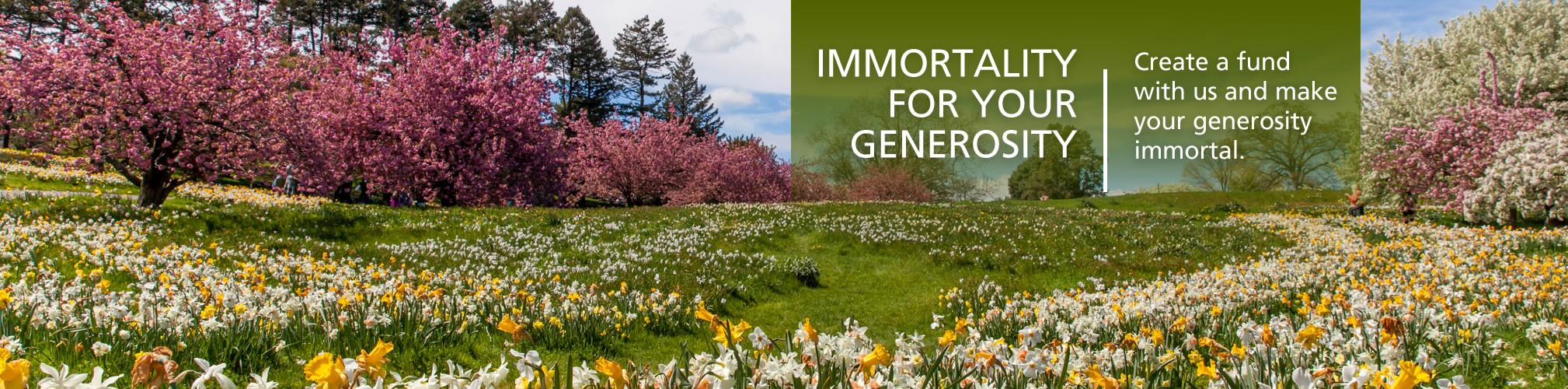 WCCF Banners winter EOY 2025