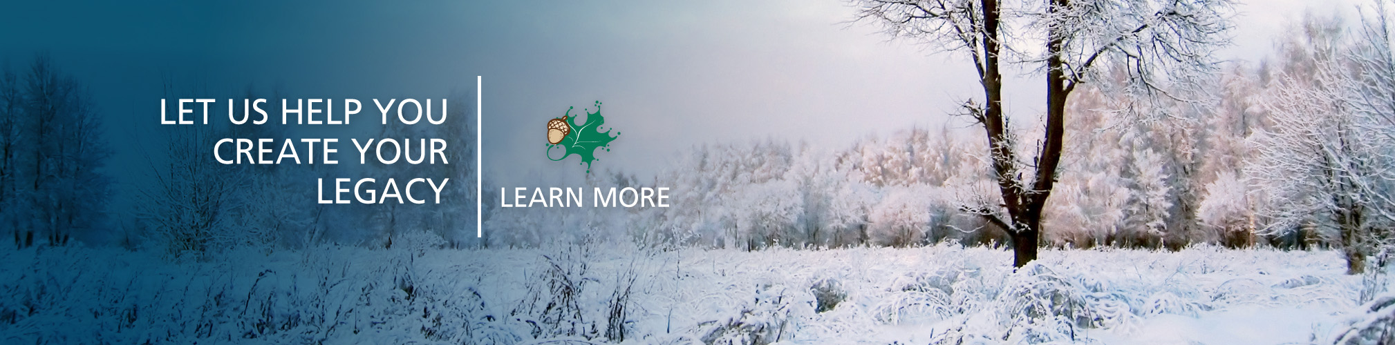 WCCF Banners winter EOY 2025