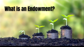 What is an endowment
